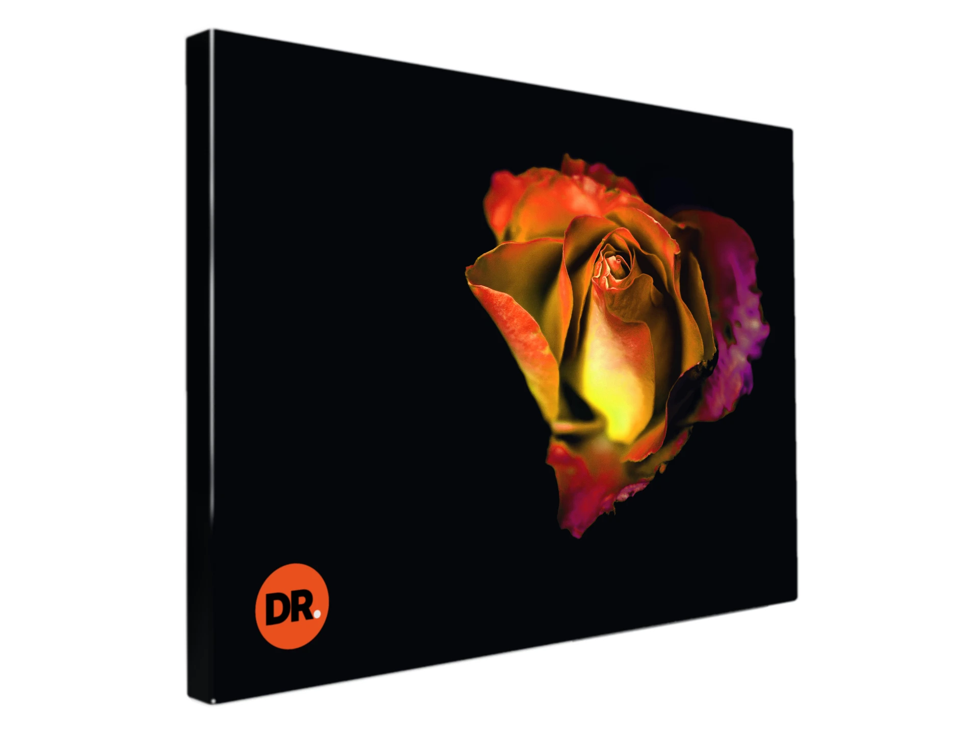Canvas wanddecoratie met een kleurrijke roos en DRUKSTIJL-logo